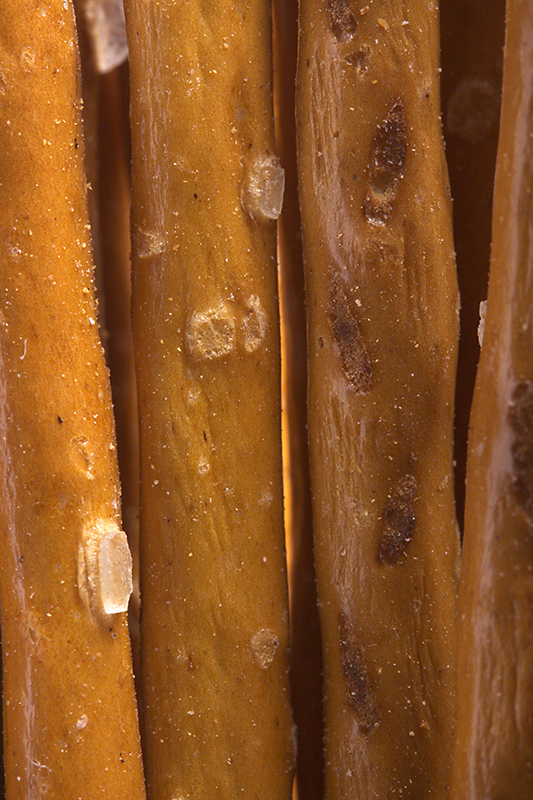 2009_12_19_1432_w00_forest.jpg