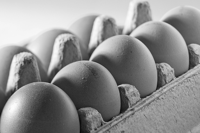 Feb 28 - Eggs