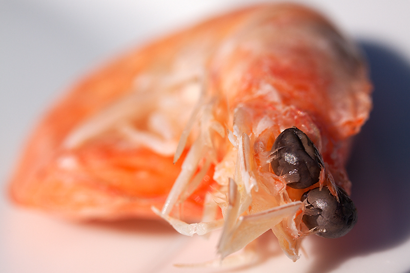 Jun 16 - Shrimp