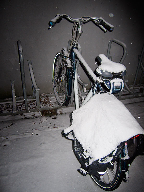 Nov 29 - Bike