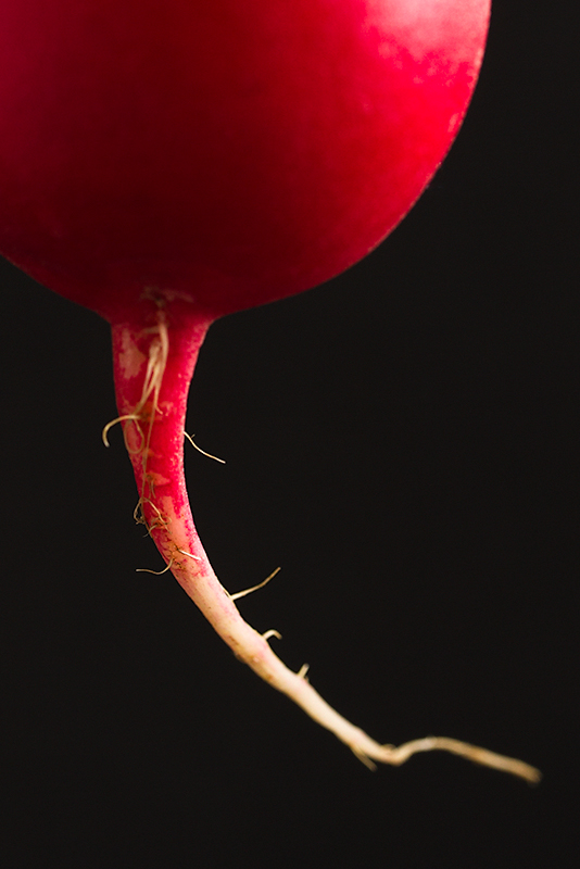 Food 16 - Radish