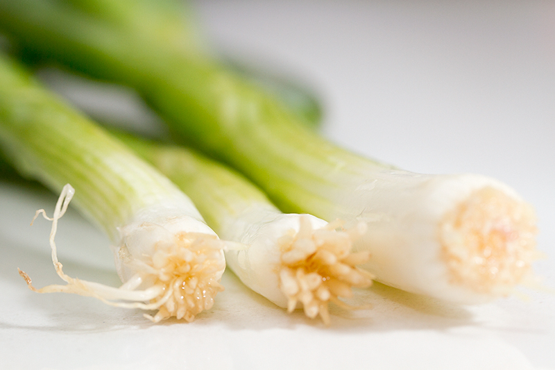 Food 42 - Scallions