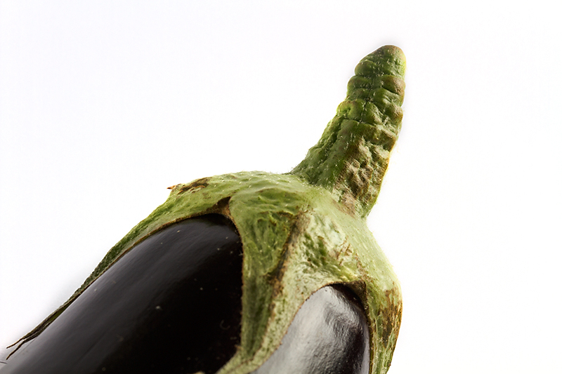 Food 45 - Eggplant