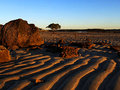 2007-07-05 Bramble Bay 'Natures Zen Garden"