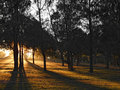 2007-07-13 Chermside Park 