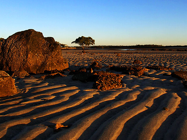 2007-07-05 Bramble Bay 'Natures Zen Garden"