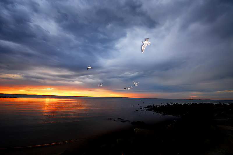 DSC_3298 A.jpg
