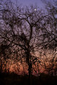 Sunset Moonrise