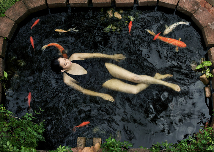 Koi Pond