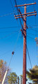 Telephone Pole