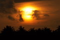 Thai Sunrise.jpg
