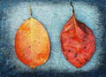 two leaves