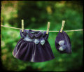 purple clothesline