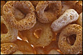 ' . substr('//images.dpchallenge.com/images_portfolio/70000-74999/70270/120/655722.jpg', strrpos('//images.dpchallenge.com/images_portfolio/70000-74999/70270/120/655722.jpg', '/') + 1) . '
