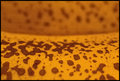 ' . substr('//images.dpchallenge.com/images_portfolio/70000-74999/70270/120/657128.jpg', strrpos('//images.dpchallenge.com/images_portfolio/70000-74999/70270/120/657128.jpg', '/') + 1) . '