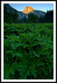 Alpenglow - Alternate Frame No. 2