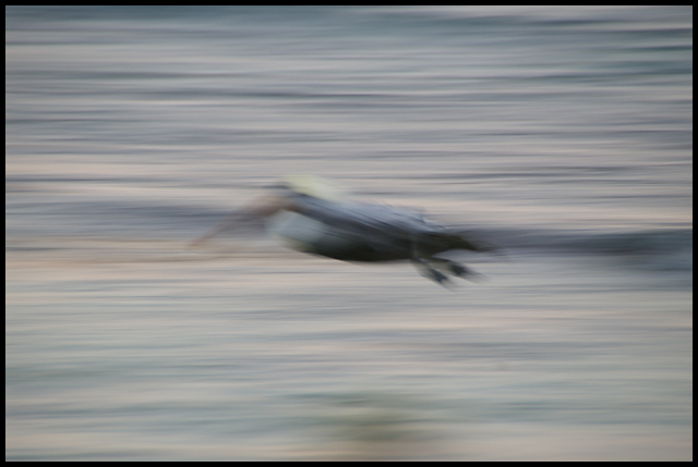 IMGP9717-streaker2.jpg