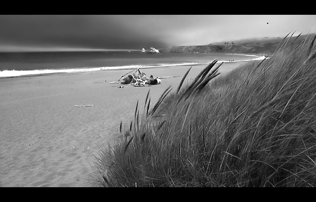 IMGP0311-Goat-Beach.jpg