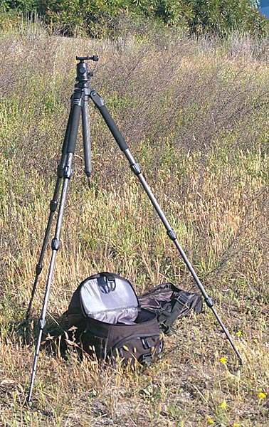 IMGP3436-tripod2-600.jpg