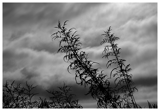 Day 16: Clouds on the Horizon