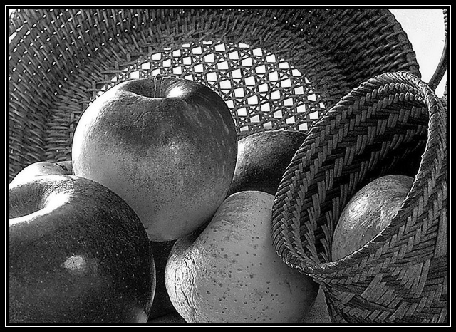 Day 21: Still Life