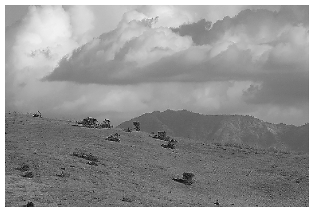 Day 28: Mt Diablo