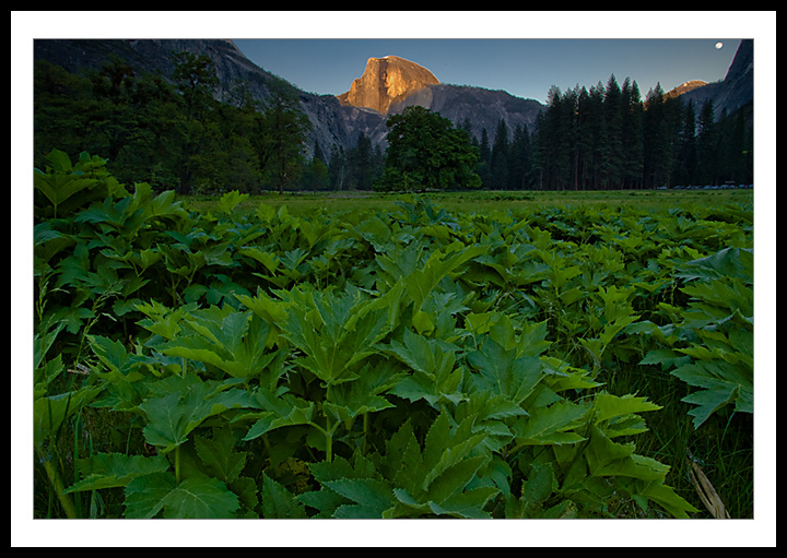 Alpenglow - Alternate Edit
