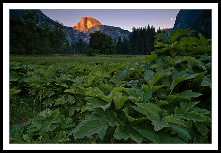 Alpenglow - Alternate Frame No. 1