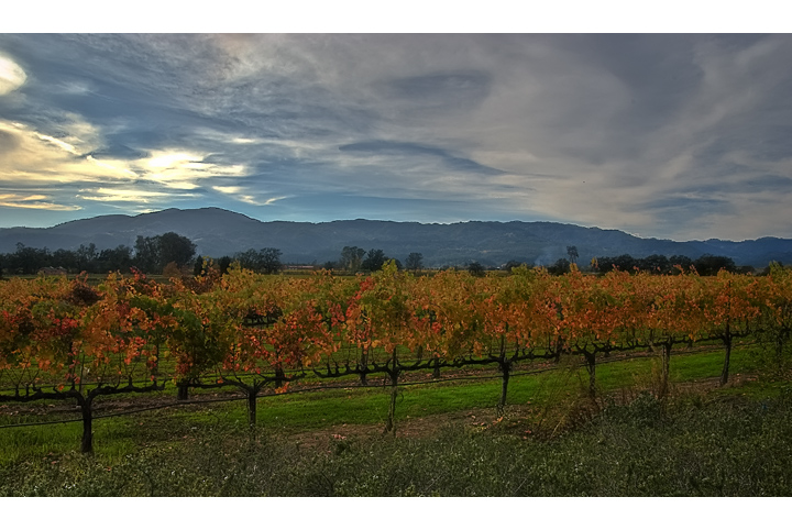 Napa Valley Redux