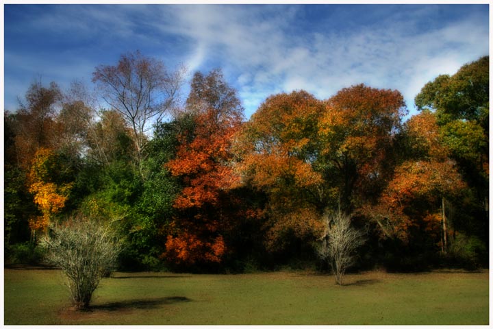 Fall Foliage with Orton  Technique