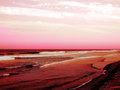 Fun With a Beach