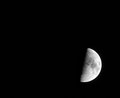 Day 14 Don't Moon Me!!!
