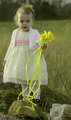 Yellow outtake