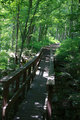 Hiking Trail No Edit