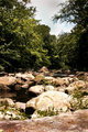 The Creek Edited