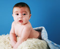Misty's Baby 1