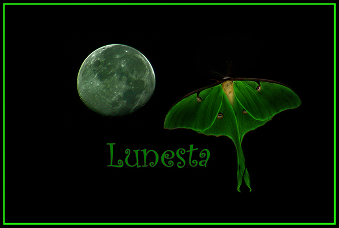 Lunesta Edited