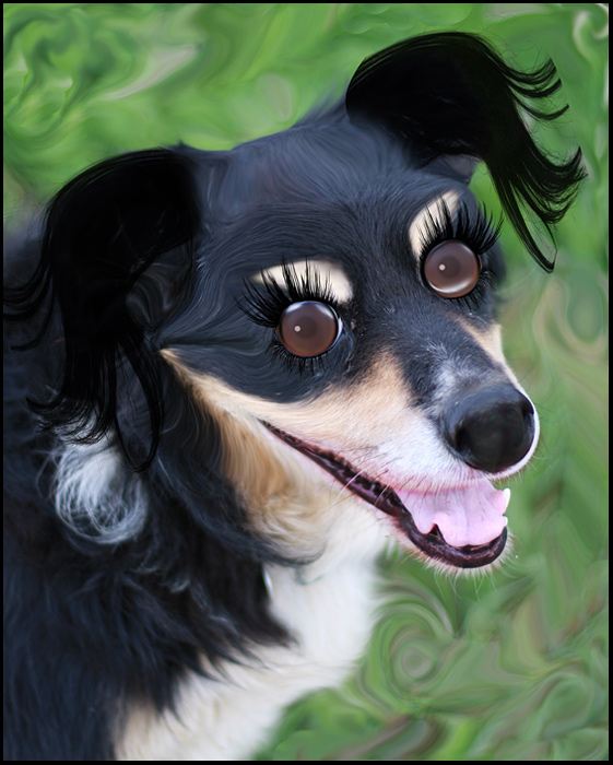 Joe after his facelift and plastic surgery :)
