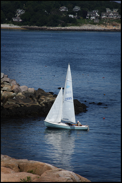 DPP_3857.jpg