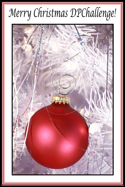 DPChallenge Christmas Card