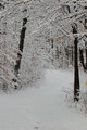 winterscape