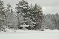 DSC_0490.JPG