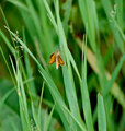 DSC_8603.JPG