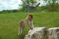 takeing a look