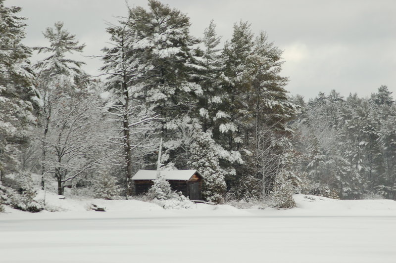 DSC_0490.JPG