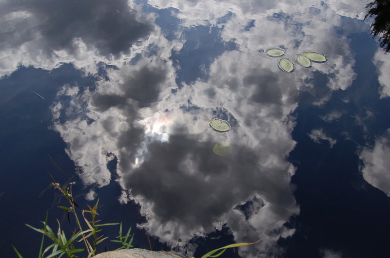 reflections