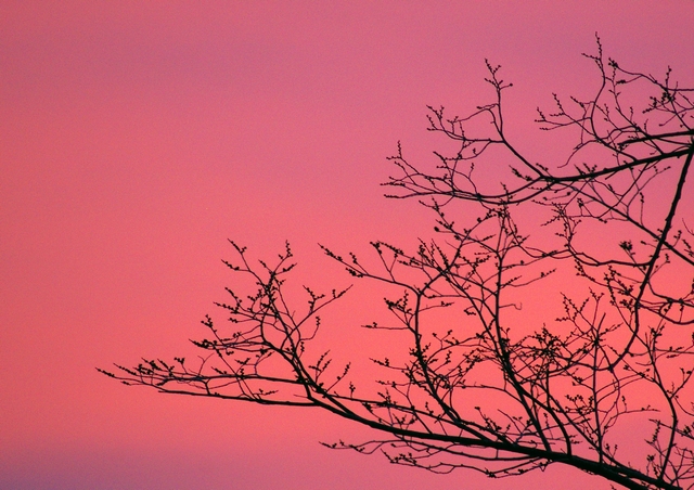 3-5-07 sunset_001.jpg