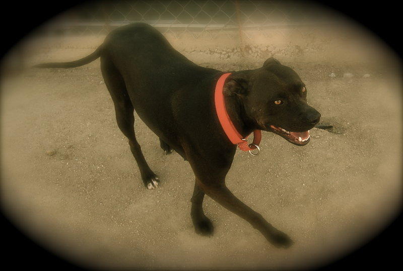 5a) This is the face only a mother could love!
