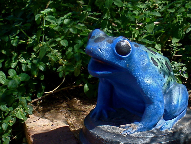 Day 5 - Blue Ribbit