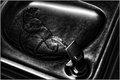 Water Fountain 1
